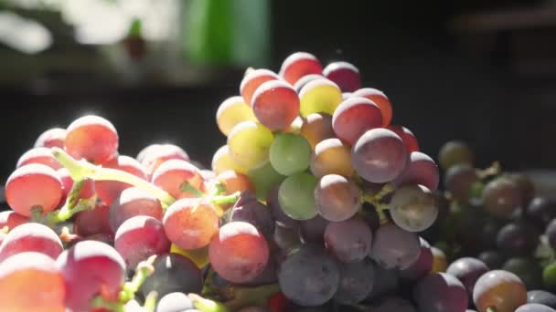 Uvas Recém Colhidas Mesa Cozinha Dia Ensolarado Verão — Vídeo de Stock
