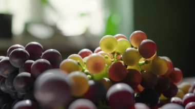 Güneşli bir yaz gününde mutfak masasında taze toplanmış üzümler.