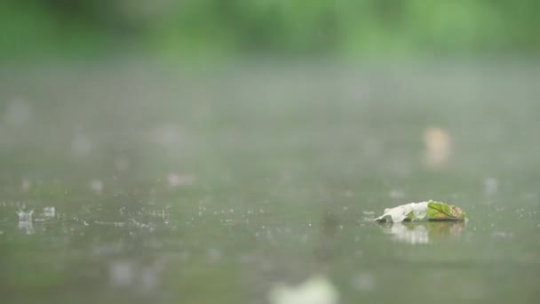 Літні Краплі Дощу Падають Підлогу Тераси Дрейфом Відображає Сад — стокове відео
