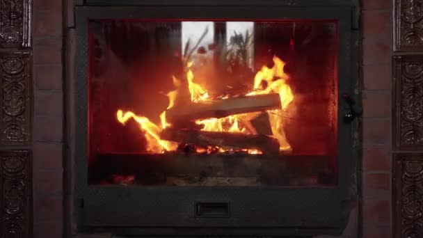 Firewood Burning Fireplace — Stock Video