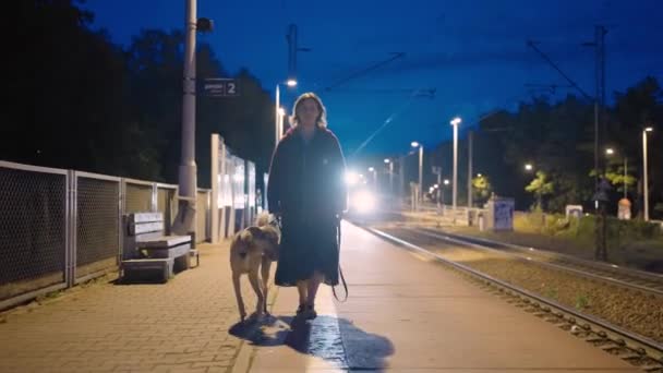 Jovem Com Cão Caminhando Longo Plataforma Estação Ferroviária Enquanto Trem — Vídeo de Stock