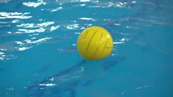 Waterpolo Bal Drijft Het Wateroppervlak Het Zwembad Tijdens Training — Stockvideo
