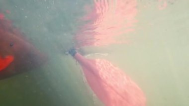 Güneşli bir günde nehir boyunca kürek çeken bir kanonun sualtı görüntüsü