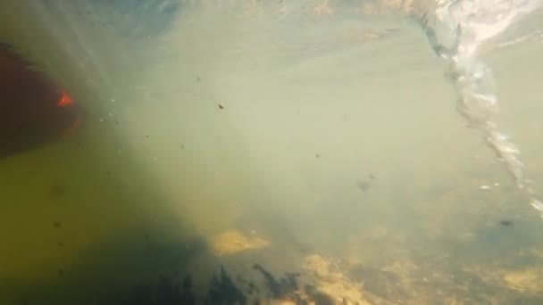 Unterwasserblick Eines Kanus Das Einem Sonnigen Tag Auf Dem Fluss — Stockvideo