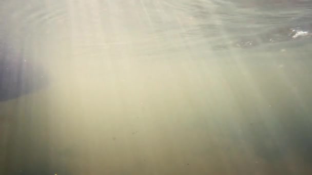Podvodní Pohled Kánoi Pádlující Podél Řeky Slunečného Dne — Stock video