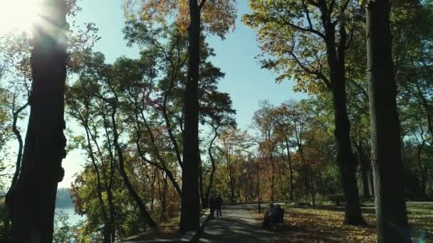 秋天来临的时候 沿着阳光灿烂的公园 沿着河岸散步的空中风景 — 图库视频影像