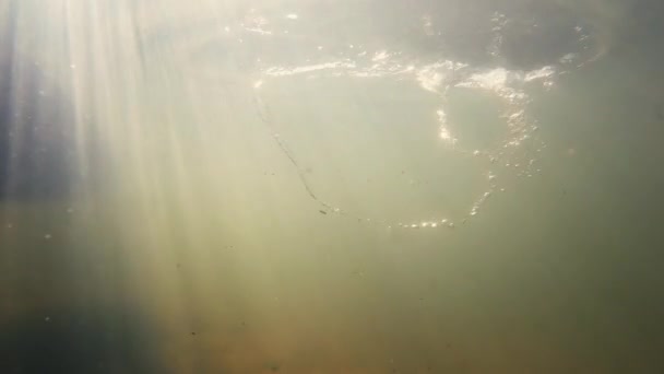 Underwater View Canoe Paddling River Sunny Day — Stock Video