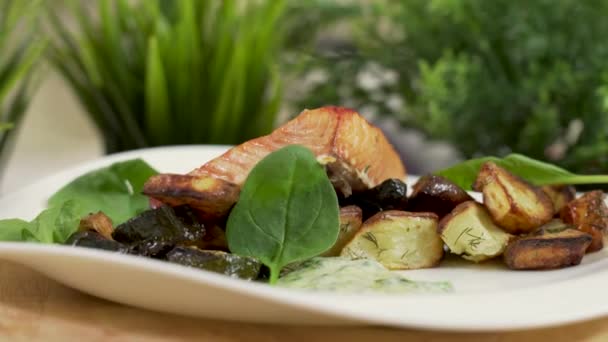 烤鲑鱼片放在有蔬菜装饰和奶油酱汁的盘子里 — 图库视频影像