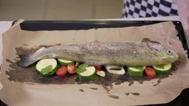 Chef Βάζει Ψάρια Πέστροφας Καρυκεύματα Ψιλοκομμένα Λαχανικά Στο Ταψί Στην — Αρχείο Βίντεο