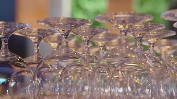 干净的空玻璃杯排在吧台上 — 图库视频影像