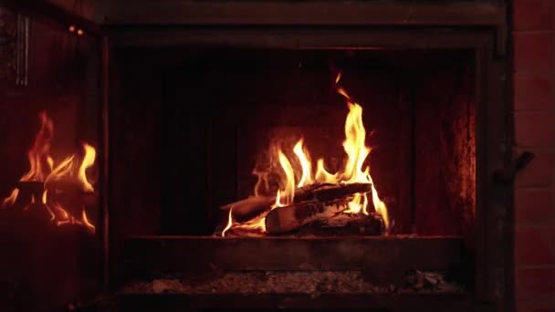 Firewood Burning Fireplace — Stock Video