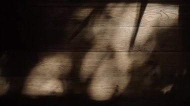 Komorebi ışığı ağaç yaprakları arasında sallanıyor evin ahşap zeminine gölgeler saçıyor.