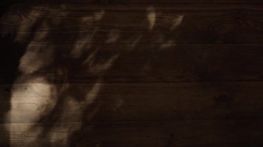 Komorebi ışığı ağaç yaprakları arasında sallanıyor evin ahşap zeminine gölgeler saçıyor.