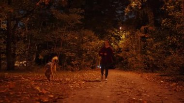 Genç bir kadın banliyö bölgesinde köpeğini gezdiriyor.