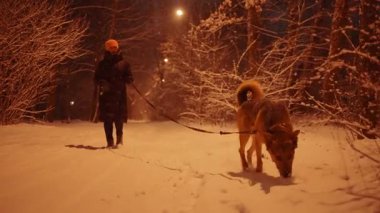 Geceleri banliyödeki karlı bir sokakta çoban köpeğini gezdiren bir kadın.