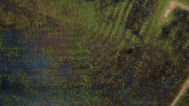 Vue aérienne des tourbières près de la vallée de la rivière et de la forêt 