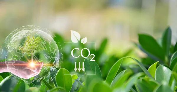Concept Reduce Global Warming Increase Green Area Clean Air World — Foto de Stock