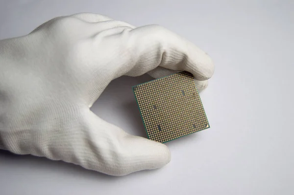Picture of CPU chip in hand, CPU with many pins, on white background.