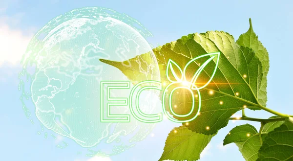 Green World Concept Reduce Energy Consumption Energy Saving — Stock Photo, Image
