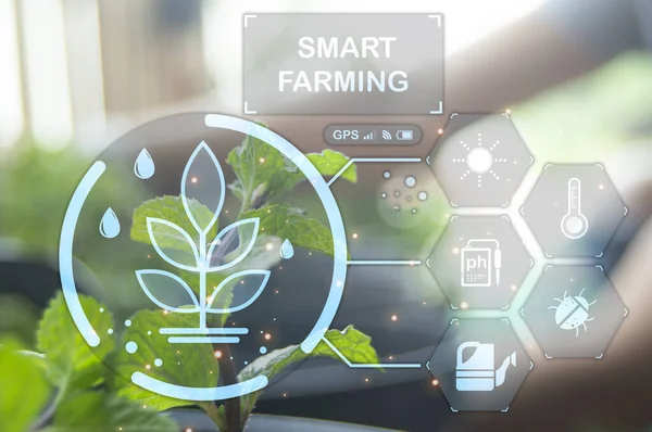 Concept Smart Farming Technology Management — Stock Photo, Image