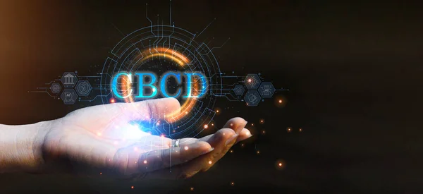 stock image A CBDC, in simple terms, is a digital currency issued by a country central bank. It can legally be used as a settlement just like fiat currency or regular paper money.