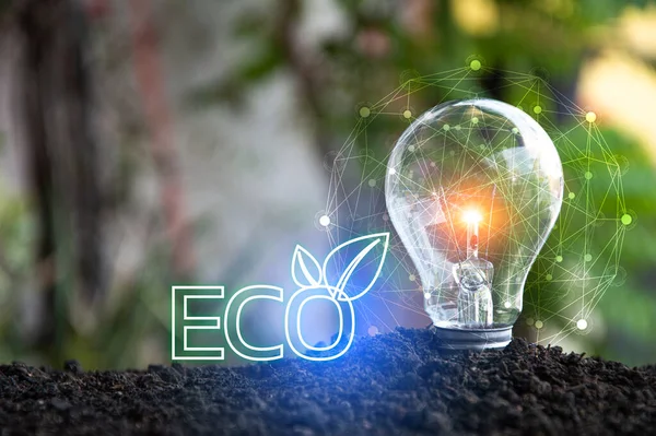 Lâmpada Ecológica Verde Conceito Energia Verde — Fotografia de Stock