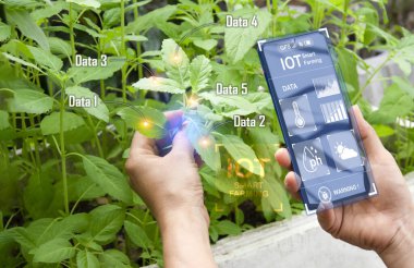 The concept of using AI and smart farming.	