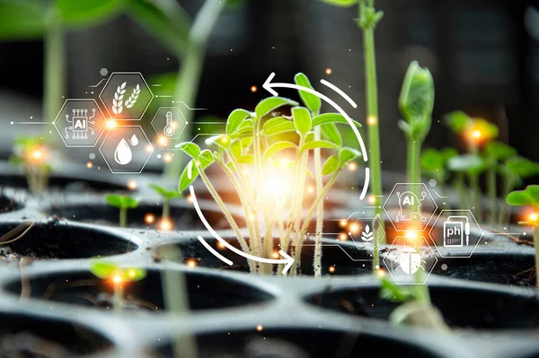 The concept of using AI and smart farming.	