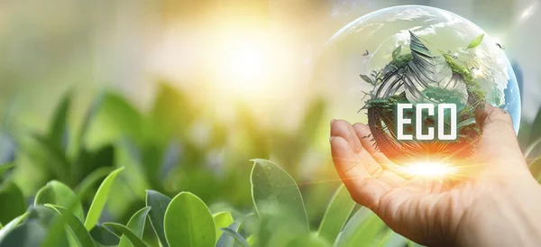 Çevre teknolojisi kavramı ECO sürdürülebilir kalkınma hedefleri