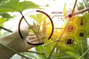 The concept of using AI and smart farming.	