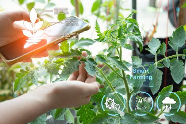 The concept of using AI and smart farming.	