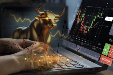 Kripto para birimi borsasına yükselme fikri. Boğa Pazarı, Kârlılık