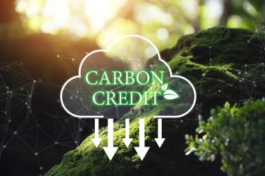 Karbon kredisi ya da karbondioksit ticareti. Satın alınabilir karbon sertifikaları. İş ve çevre sürdürülebilir. Sanayi ve şirket Karbon emisyonlarını Sıfır Net Sıfır sera gazı hedefine Yeniden İndirComment.