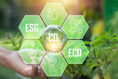 Yenilenebilir enerji emisyon azaltma kavramlarına dayanan sürdürülebilir kalkınma ve ticari operasyonlar yenilenebilir enerji kullanan yeşil endüstriler küresel ısınma değişikliklerini sınırlayabilir.