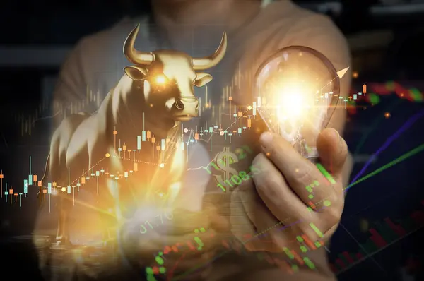 Long-term investment ideas, profits from stocks and crypto bull market trading.