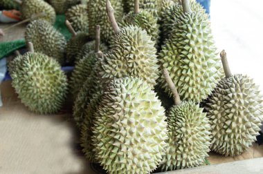 Tayland 'dan Durian tüm dünyada popülerdir. Meyvelerin kralı