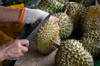 Tayland 'dan Durian tüm dünyada popülerdir. Meyve kralı. Satıcı derisini yüzüyor..