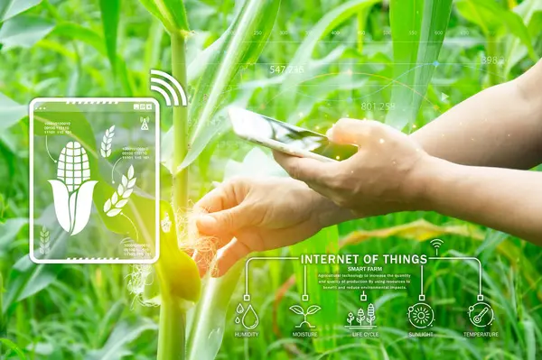 stock image The concept of using AI and smart farming