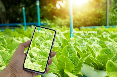 The concept of using AI and smart farming.	