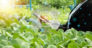 The concept of using AI and smart farming.	