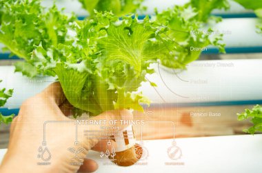 The concept of using AI and smart farming.	