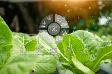 Yapay zeka ve akıllı tarım, hassas tarım kavramı