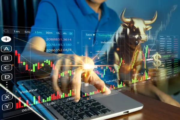 Borsa Kavramları ve Kripto Para Birimi Senaryoları Boğa Piyasası Satın Alma ve Ticareti