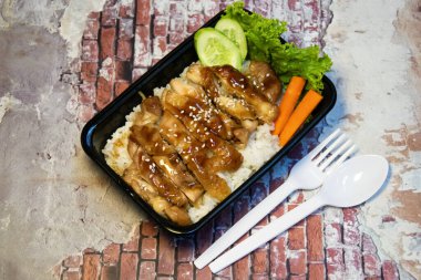 Asya Füzyon Teriyaki Tavuk Pirinci