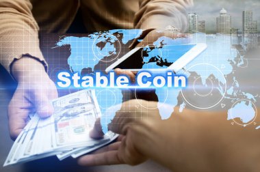 Finansal sistemde istikrarlı madeni para kullanma kavramı