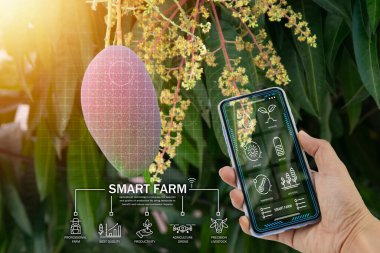 Hassas tarım kavramı, akıllı tarım