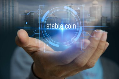 Finansal sistemlerde istikrarlı madeni para kullanma kavramı
