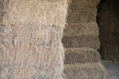 Ahırda istiflenmiş saman yığınları