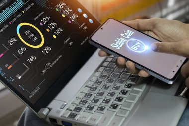 Finansal sistemde istikrarlı madeni para kullanma kavramı