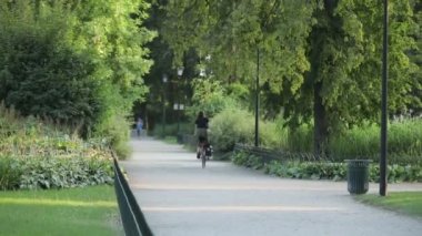 people resting at summer city park